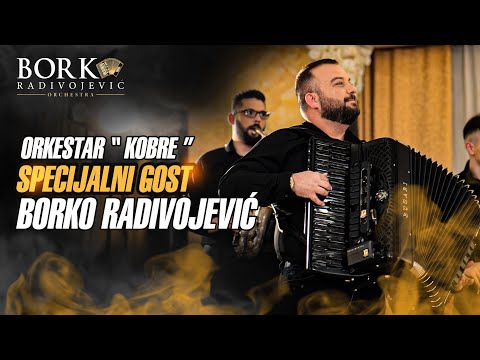 Orkestar “Kobre”, specijalni gost Borko Radivojevic