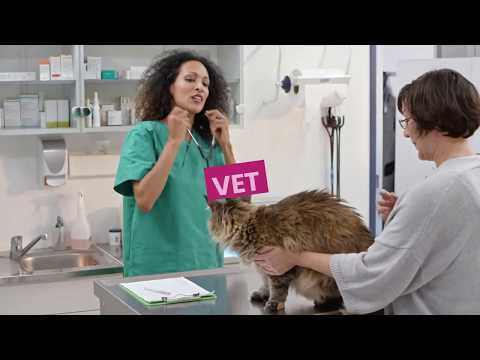 Vet video 2