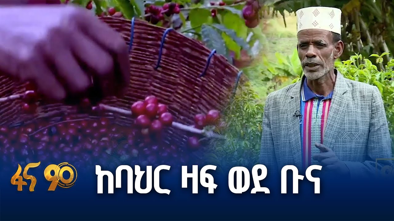 ውጤት የሚያስገኘው የቡና እና ፍራፍሬ ልማት