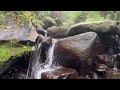 Purest Sounds Of Water For INSTANT Sleep ASMR Water