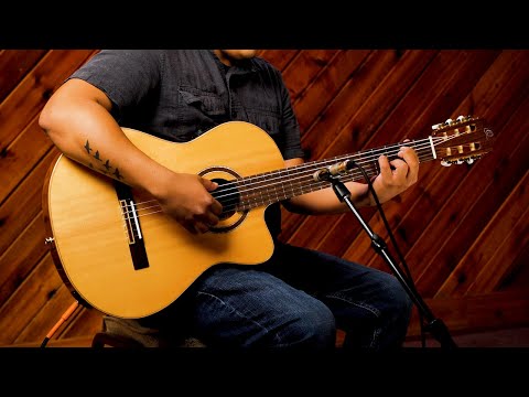 Ortega RCE138SN Performer Series Solid Spruce Top Mahogany Neck Cutaway Nylon 6-String Classical Acoustic-Electric Guitar w/Gig Bag image 26