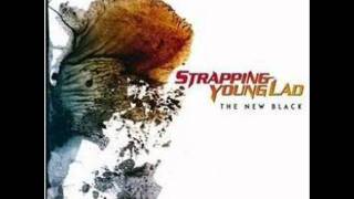 Strapping Young Lad - Fucker