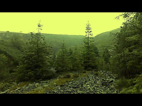 (learning Welsh) Ex "preliminary A" before Wlpan y Gogledd - VIDEO 01