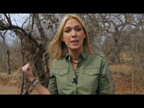 Linda Lindorff: Det är så fruktansvärt - Linda och djurens hjältar (TV4)