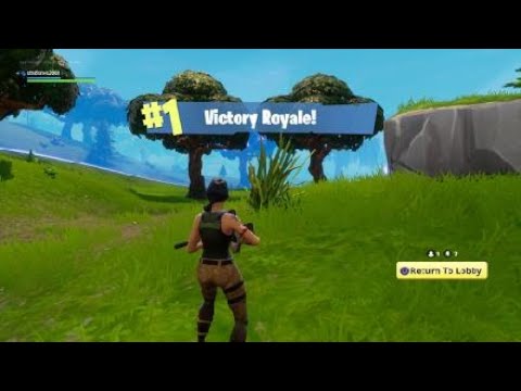 Fortnite_20171026184653