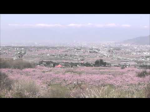 桃源郷（フルHD映像）