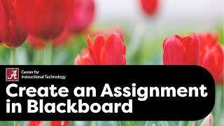 Create an Assignment in Blackboard