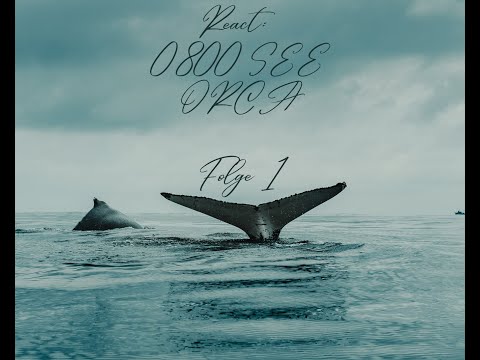 React: 0800 SEE ORCA Folge 1