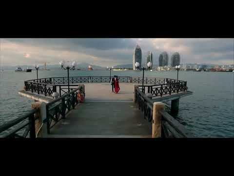 Amor Principal - Carlinho Motta