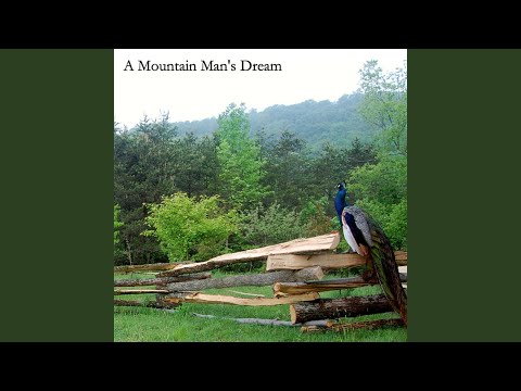 In A Song - Van Wagner