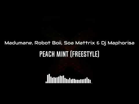 Madumane × robot boii