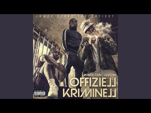Offiziell Kriminell (feat. Tjay, Lizzow)