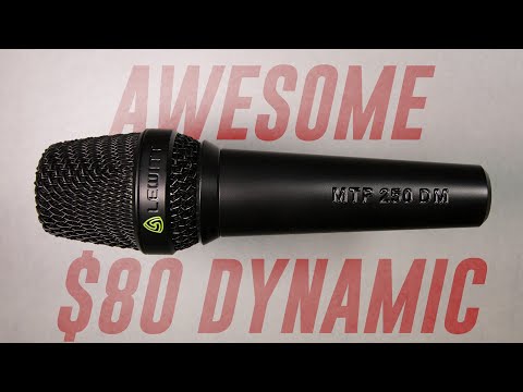 LEWITT MTP 250 DM Micrófono Vocal Dinámico De Mano