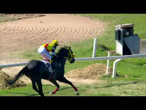 220312 c03 OLLIE AIR