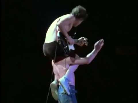 AC/DC - Rocker (Subtitulado) 1979