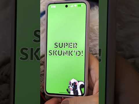 SKUNK'D®: Solo Dice Challenge