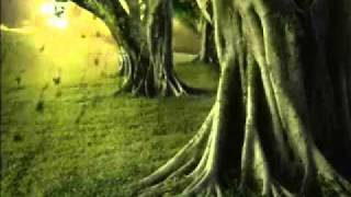 Crying during a death---hadith