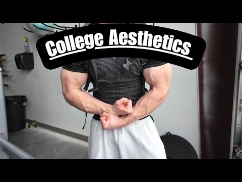 Aesthetic Robert Tomarkin College Help