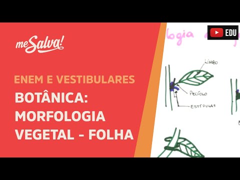 Me Salva! BOT41 - Botânica - Morfologia vegetal: a folha