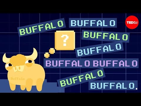 download lagu mp3 mp4 Buffalo Buffalo Buffalo, download lagu Buffalo Buffalo Buffalo gratis, unduh video klip Buffalo Buffalo Buffalo