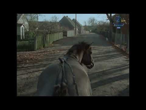 Społeczeństwo - "Odlot"