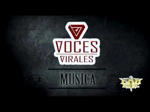 MUSICA ( INGENIO FT BRAINNDER FT NILATS FT DEST FT DAIVID )