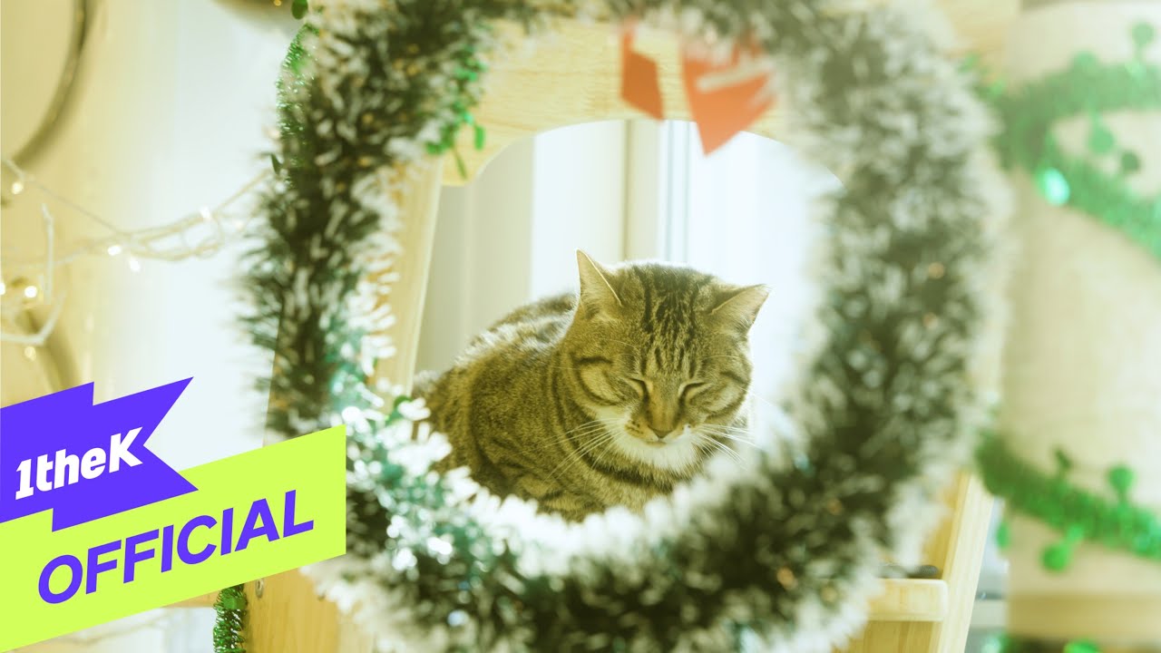 [MV] Sugar Rain(슈가레인)_ I am a cat(나는 고양이)