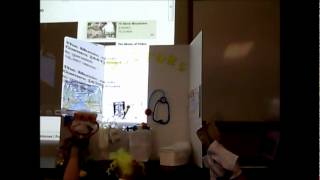 Puppet Show Fandango Gurnick