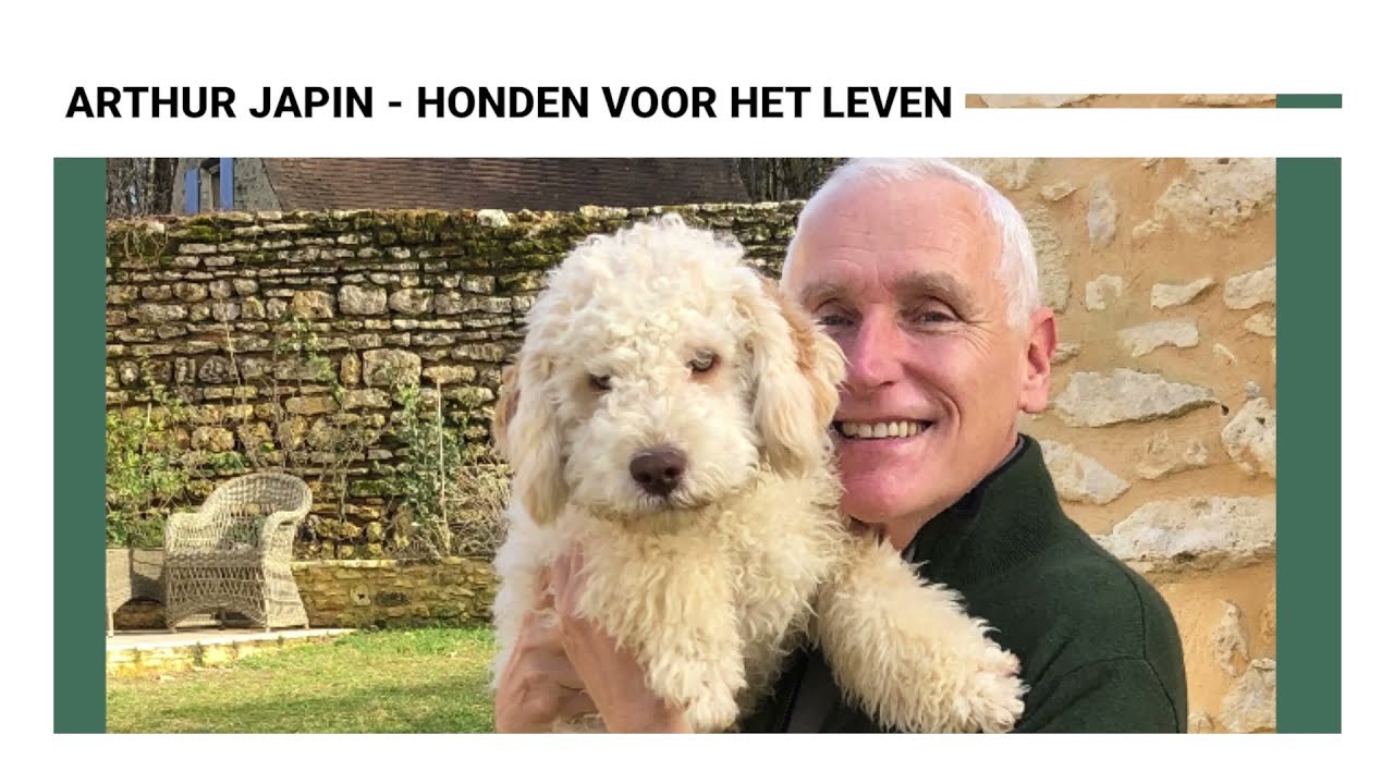 Arthur Japin over Honden voor het leven