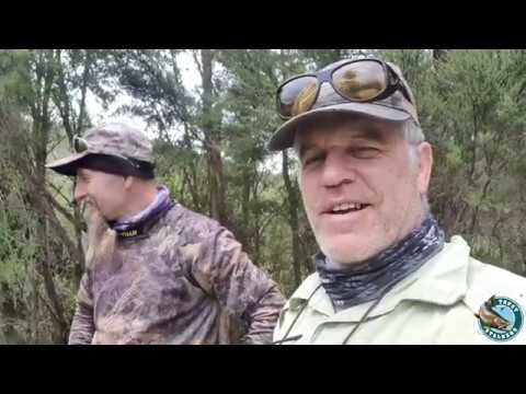 Last trip of 2019 (Part 1)