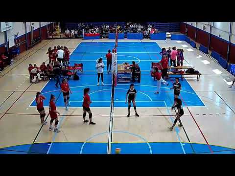 CV PORTOL - CV POLLENÇA LILA AF1