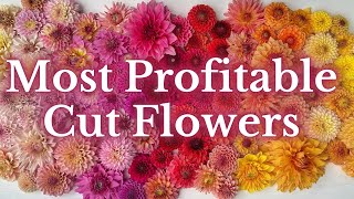 In-Demand Blooms: Discover Our Top 6 Most Profitable Cut Flowers For 2022 | PepperHarrowFarm.com