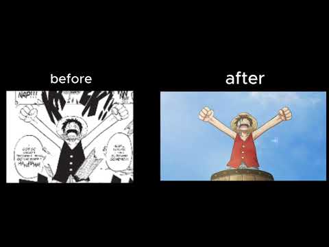 Companions | One Piece | Animation | Before/after