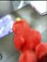 Tickle Me Elmo