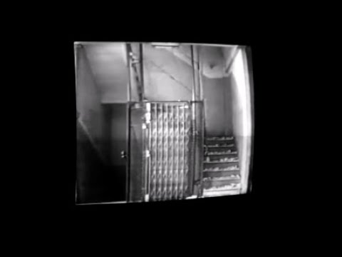 [free] bloc party, joy division, post punk type beat - trees (prod. irby)