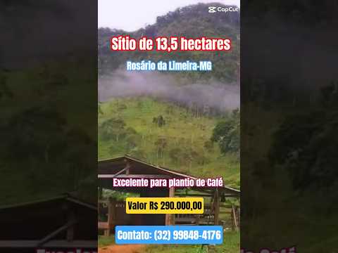 Sítio 13,5 HÁ, Rosário da Limeira-MG, Zona da Mata Mineira, #café #boi #agro #agronegócio