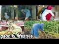 Cleaning Home Indian Housewife Daily Hardworking At Home And Forest Deshi Vlog Gaovkilifestyle