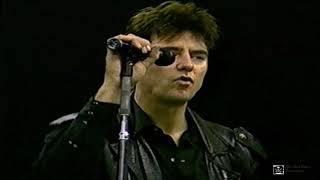 THE ANGELS  -LET THE NIGHT ROLL ON and Outtakes.