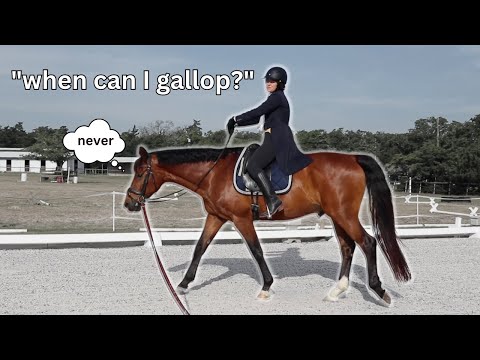 Dressage riding lesson be like.. | 😂 Funny Horse Videos