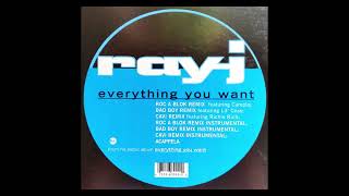 Ray-J - Everything You Want (Acapella)