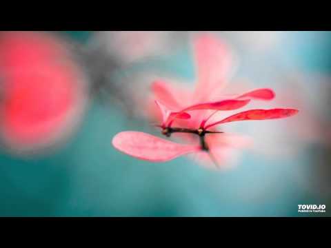 MBSR - Body Scan Meditation - 30 Minuten