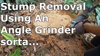 Tree Stump Removal With Angle Grinder