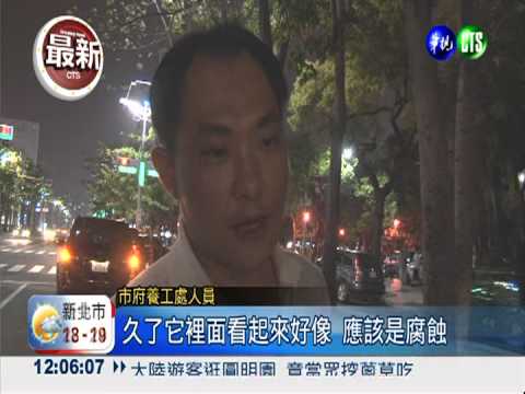 強風.白蟻"惡搞" 大樹斷裂砸賓士