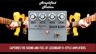 Video thumbnail for Amplified Nation Bigger Bloom by Mike Hermans