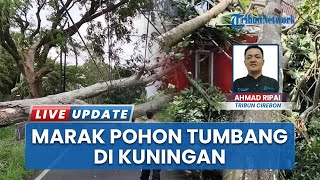 Belasan Pohon Tumbang di Kuningan Akibat Hujan dan Angin Kencang, Sejumlah Jalan Terhalang