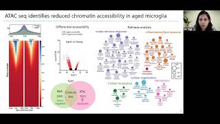 [Vini Tiwari] Innate immune training restores myeloid functions to promote remyelination in CNS
