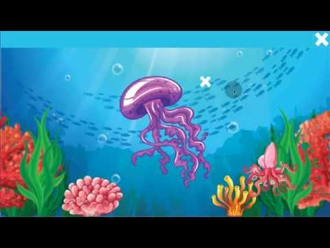 Факты о морских обитателях. Video