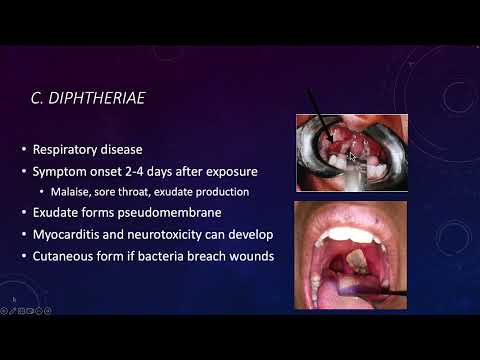14 - Listeria Part 02