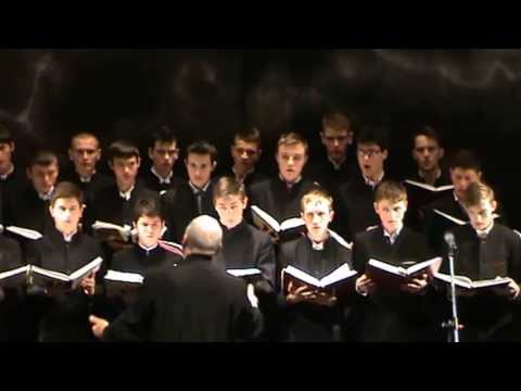 Corul Biruitorii - Camara Ta