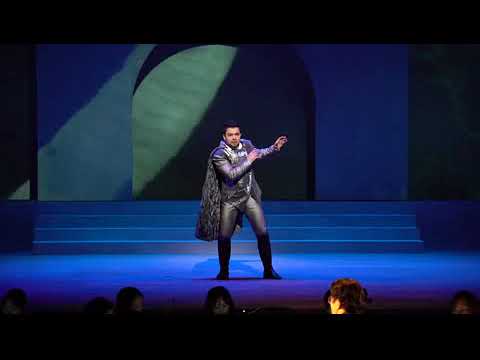 David Esteban, Zu Hilfe - Die Zauberflöte (Busan / Corea)